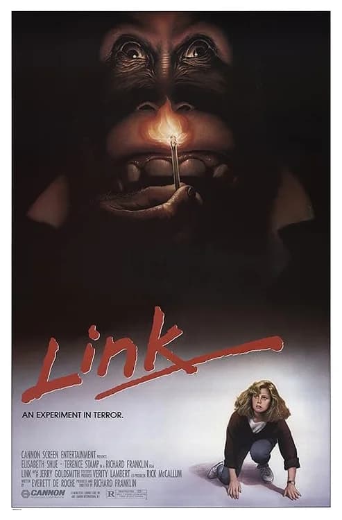 Link film posteri