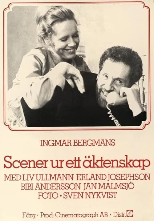 Scenes from a Marriage film posteri